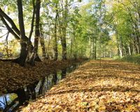 hintere Ansicht Bachverlauf